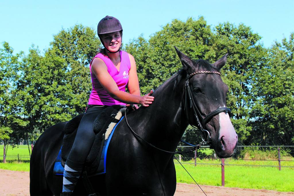 Revalidatie stal de Kuper traint en ondersteunt paard en ruiter