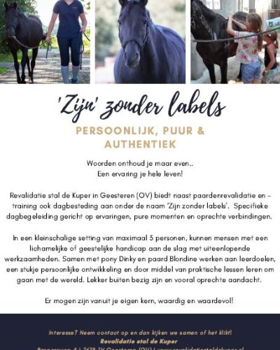 Dagbesteding_cover